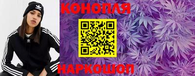 шишки Лесосибирск