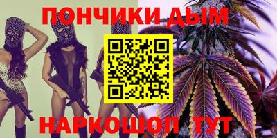 шишки Лесосибирск