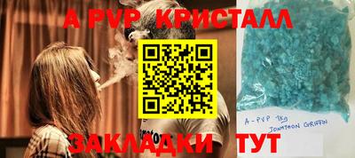 шишки Лесосибирск