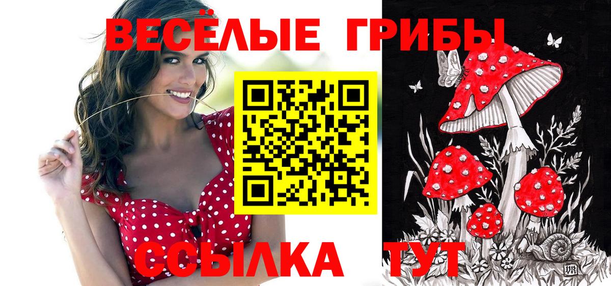 Галлюциногенные грибы ЛСД  Вход с VPN  Вольск 