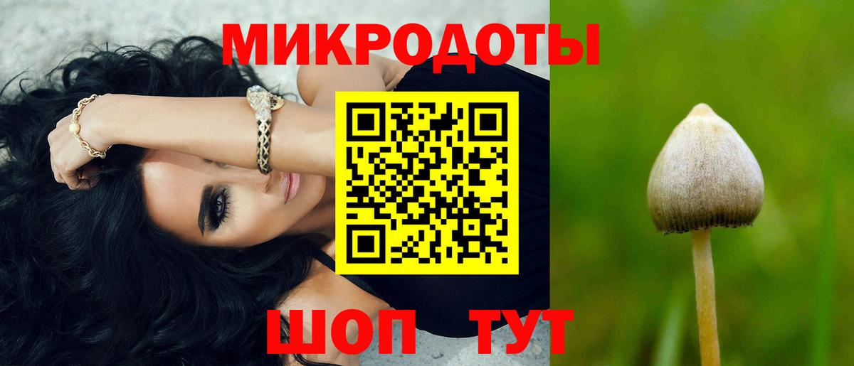 Псилоцибиновые грибы Cubensis Вольск